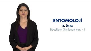 ENTOMOLOJİ  Ünite 3 Özet [upl. by Llerryt]