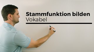 Stammfunktion bilden Vokabeln Aufleiten Integralrechnung  Mathe by Daniel Jung [upl. by Lilah]