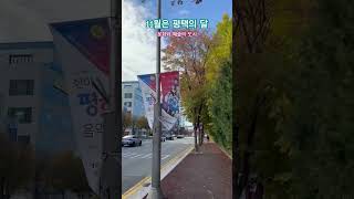 11월 문화와 예술의 도시 평택 공연 알렉산더쉐이킨 아코디언 아코디언연주 알렉산더쉐이킨 [upl. by Pleasant341]