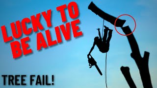 Expert Arborist Reacts to Deadly Tree Rigging Fails [upl. by Viking278]