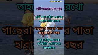 তবুও দাঁড়িয়ে থেকো আগামী শুভ দিনের অপেক্ষায় [upl. by Till]