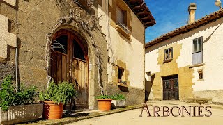 PUEBLOS DE NAVARRA ARBONIÉS  municipio de Romanzado [upl. by Akerehs]