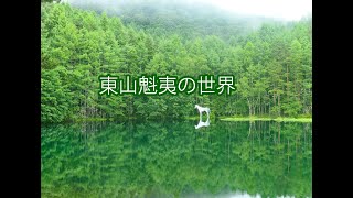 御射鹿池、湖に映り込む森林と霧。そこへサプライズが [upl. by Jaan]