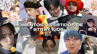 Momentos Divertidos de Stray Kids [upl. by Murtagh]