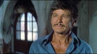 Caboblanco Full Movie Facts amp Review in English  Charles Bronson  Jason Robards [upl. by Adnuhsal870]