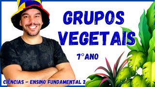 🌻Grupos Vegetais  Briófitas Pteridófitas Gimnospermas e Angiospermas  Aula Completa  Botânica [upl. by Fabio642]