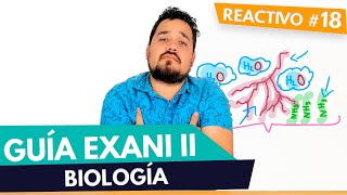 GUÍA EXANI II 🎓  Reactivo 18  Diagnostico  Biología  UV  UAEMEX  UADY  UAEH [upl. by Cahilly370]