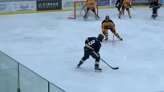 Prep Hockey Hermantown and Denfeld tie in overtime [upl. by Reld]