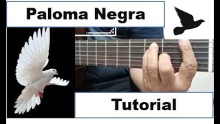 Paloma Negra en Guitarra fácil con Sólo 3 Acordes Tutorial Guitarra Principiantes [upl. by Oilasor]