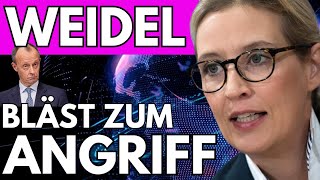 WELTKLASSE Alice Weidel AfD 🔥 TEILT RICHTIG AUS 🔥 beim ZDF [upl. by Zerimar725]