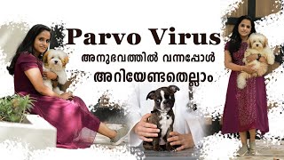 പടരുന്ന പാർവോ വൈറസ് parvo virus infection symptoms and precautions malayalam parvo care at home [upl. by Hibbitts]