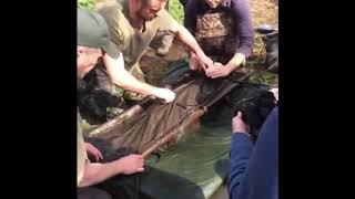 Scott Lloyd carp fishing the Burghfield Common 62lb 8oz [upl. by Ferrick]