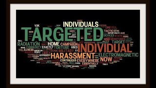 The Targeted Individuals Program Explained by Dr Eric Karlstrom [upl. by Aynodal]