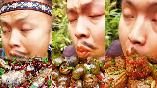 【ASMR MUKBANG】stirfried miscellaneous fish tofu braised lion head stirfried escargot [upl. by Cordalia]