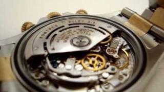 Rolex Daytona Cosmograph Watch Movement quotGut Shotquot 22 [upl. by Ayarahs]