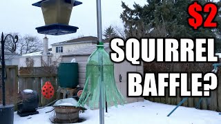 Soda bottle squirrel baffle Cheapest and best squirrel baffle [upl. by Williamsen848]