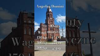 Dzwony w Kuczynie  Angelus Domini [upl. by Russell]