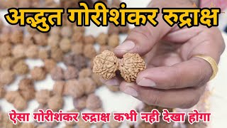 गौरी शंकर रुद्राक्ष के फायदे और विधि  Benefits Of Gauri Shankar Rudraksha  Astro India Kheteshvar [upl. by Ocinemod]