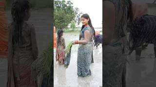 Dhaan propane song dance funny comedy bhojpuri music hindisong feed bollywood [upl. by Kyd]