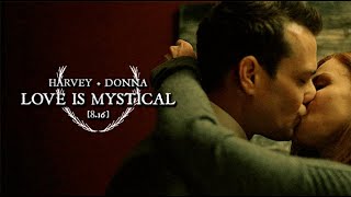 Donna amp Harvey Darvey  Love is Mystical  8x16 [upl. by Elwyn]