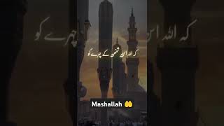 Beshaq mashallah subhanallah youtubeshorts ❤️💯👌 [upl. by Lal960]