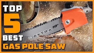 Best Gas Pole Saw in 2023  Top 5 Gas Pole Saws Review [upl. by Garlan]