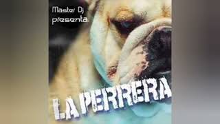 La Perrera Vol1 Reggae Mix [upl. by Llednav]