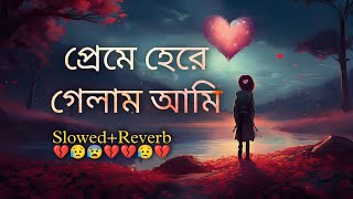 প্রেমে হেরে গেলাম Slowed  Reverb  Lofi Song  Bangla Song 2024 [upl. by Ynohtona]