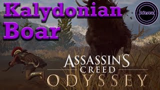 How to kill the Kalydonian Boar  Assassins Creed Odyssey [upl. by Geraldina]