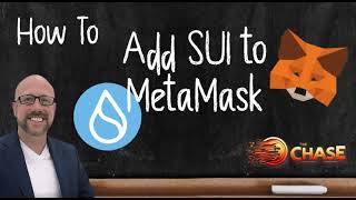 Adding SUI to MetaMask Your Complete Walkthrough Guide [upl. by Filmore]