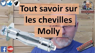 Tout savoir sur les chevilles Molly [upl. by Dovev]