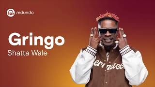 gringo by shatta wale Official Lyric Video [upl. by Enirak]