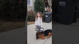 Will an Aggressive German Shepherd Listen to a 5 Year Old [upl. by Mariska]