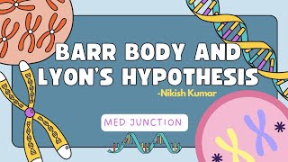 BARR BODY AND LYONS HYPOTHESIS GENETICS113 [upl. by Prince]