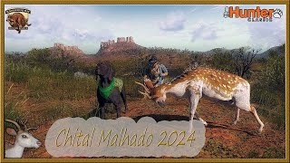 PRIMEIRO RARO 2024  CHITAL MALHADO MACHO [upl. by Jar]