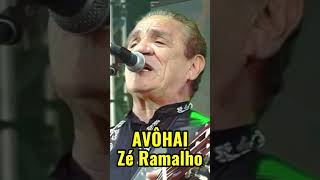 AVÔHAI DE ZÉ RAMALHO Herança Cultural avôhai zéramalho sinonimos shorts [upl. by Cerelia]