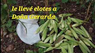 Doña Gerarda FELIZ le llevé Elotes [upl. by Noemis]