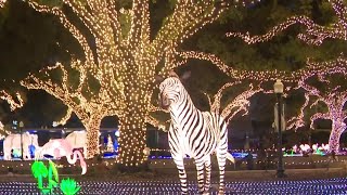 Immerse yourself in Zoo Lights magic this holiday season [upl. by Ymac]