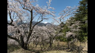 【4K】Katsuyama Castle Yamanashi  勝山城 山梨 [upl. by Rehtaeh219]