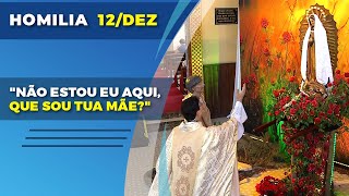 quotNÃO ESTOU EU AQUI QUE SOU TUA MÃEquot  PADRE REGINALDO MANZOTTI  HOMILIA  12122022 [upl. by Iinden]