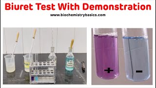 Biuret Test With Demonstration In 5 Minutes  Biuret Test Biochemistry [upl. by Ynatirb]