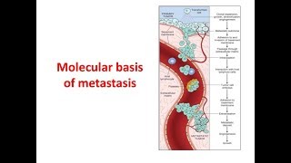 Metastasis Molecular Basis [upl. by Harold]