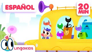 El DÍA INTERNACIONAL DEL GATO 🐈 💕 Canciones Infantiles  Lingokids en Español [upl. by Ziza]