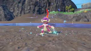 Shiny Chimchar Monferno and Infernape 22062024 Road to living Indigo Disk SHINY DEX 044173 [upl. by Winnie]