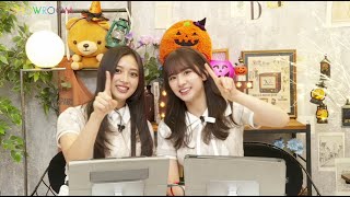 猫舌SHOWROOM 乃木坂46 にゃんば1 井上和 ・ 菅原咲月 2024年10月09日 [upl. by Birdella]