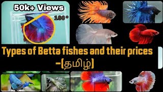 Betta fish types and its price in IndiatamilIam a hobbist [upl. by Cotterell]