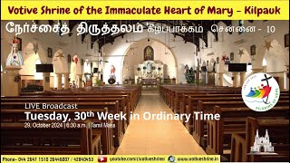 Votive Shrine Daily Mass  Live Stream  October 29 2024 Tuesday 630 am  Tamil Mass [upl. by Richella]