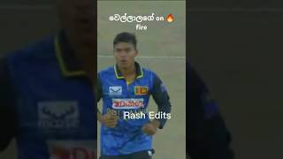 වෙල්ලාලගේ on 🔥 fire trending cricket [upl. by Lusa847]