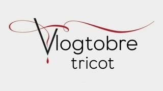 ☁️ VLOGTOBRE 2024 ep27 Salvatore Boarding House au point de croix vlogtricot vlogtobre [upl. by Allbee]