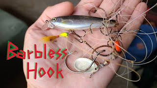 Barbless hooks WHY I USE THEM 90 of the time [upl. by Ibob]